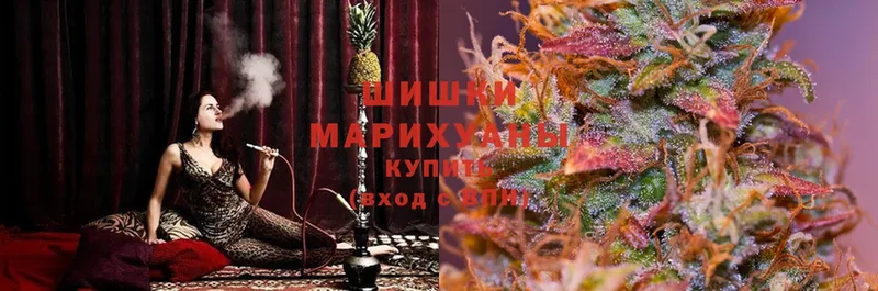 купить   Дальнегорск  МАРИХУАНА индика 